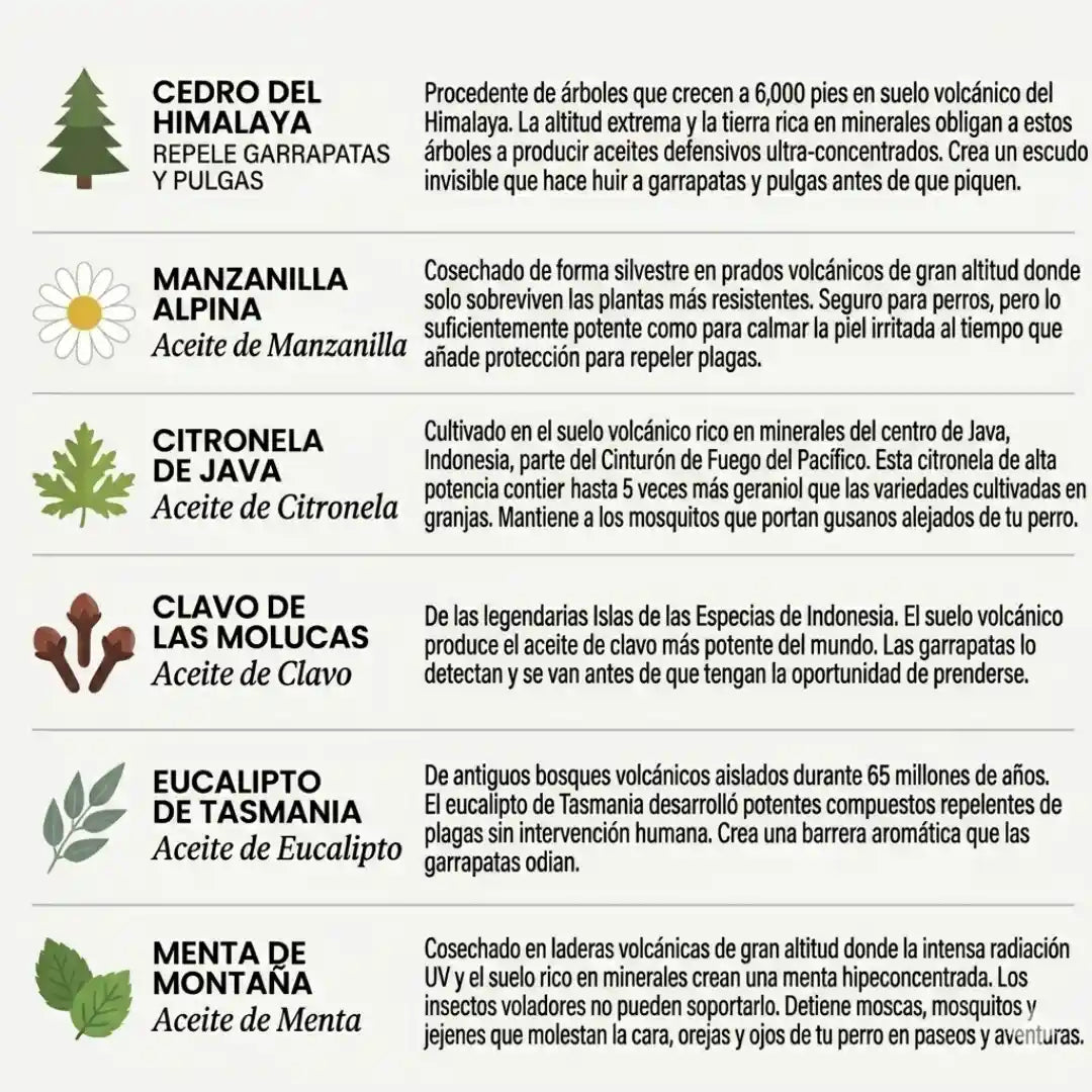 Protege a tu perro de garrapatas y enfermedades de urgencia con Purlife™