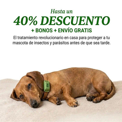 Protege a tu perro de garrapatas y enfermedades de urgencia con Purlife™