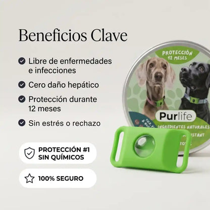 Protege a tu perro de garrapatas y enfermedades de urgencia con Purlife™
