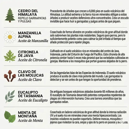 Protege a tu perro de garrapatas y enfermedades de urgencia con Purlife™