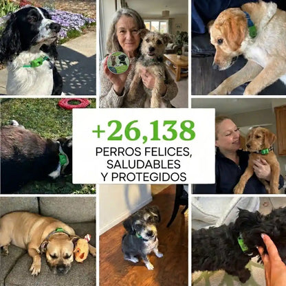 Protege a tu perro de garrapatas y enfermedades de urgencia con Purlife™
